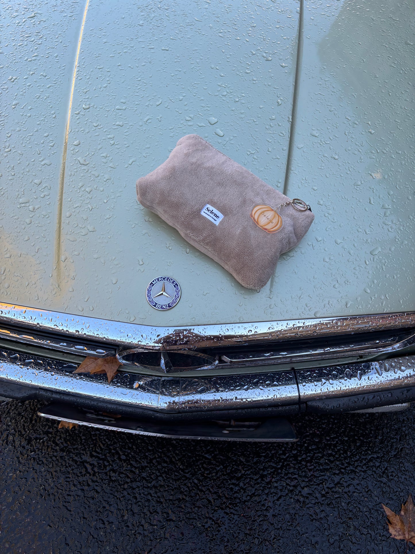 Fall vibes 🍂 Flat Pouch