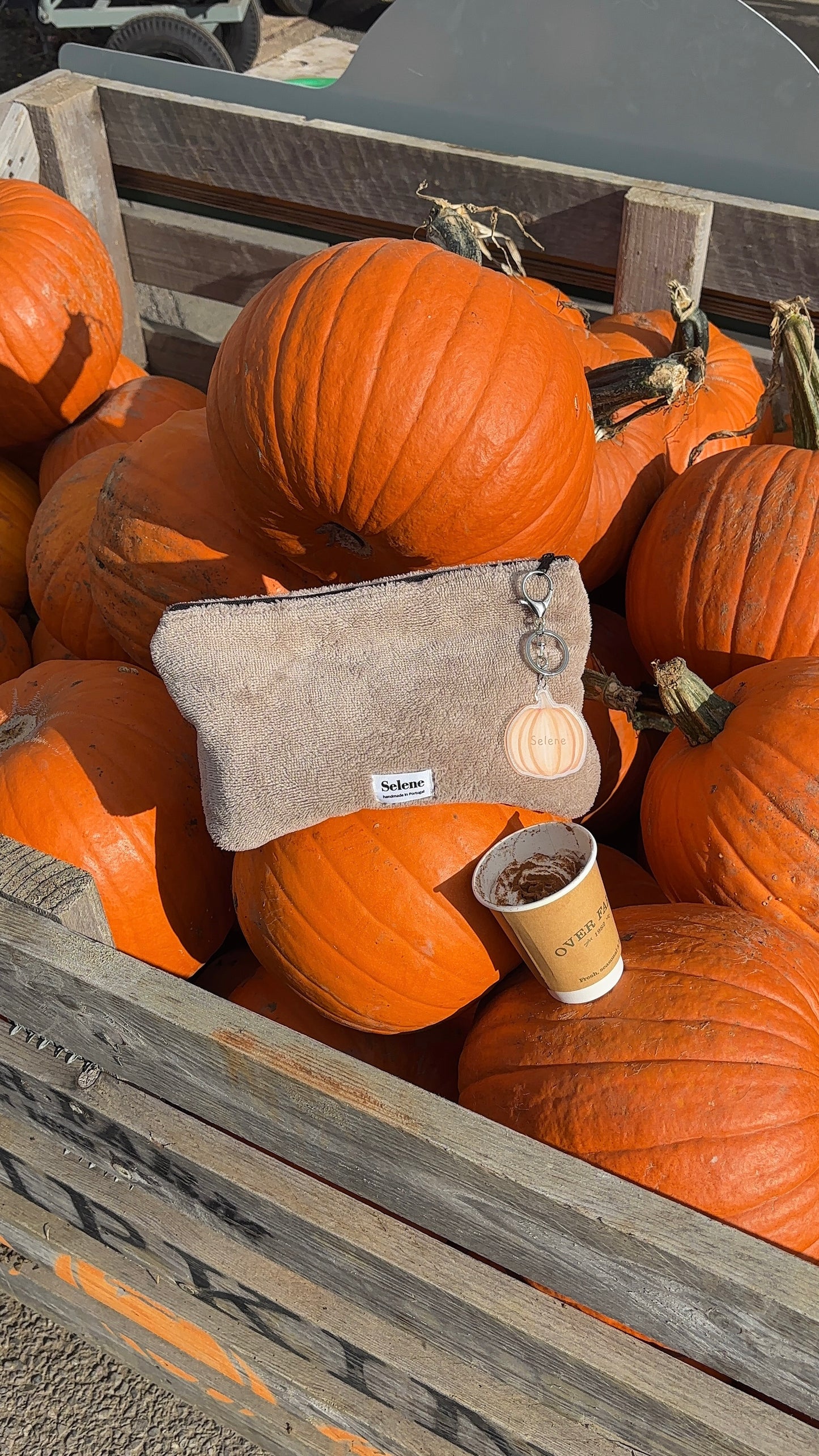 Fall vibes 🍂 Flat Pouch