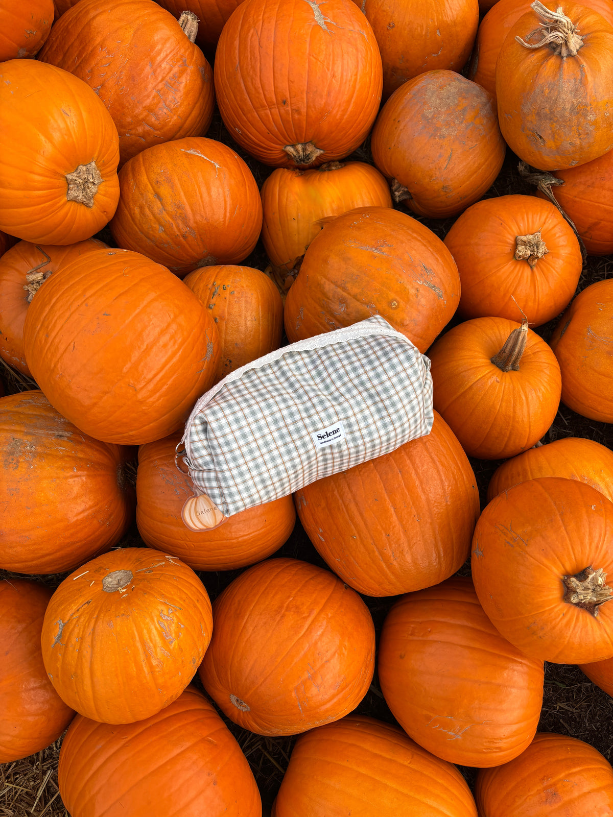 Autumn Plaid 🤎🕯️