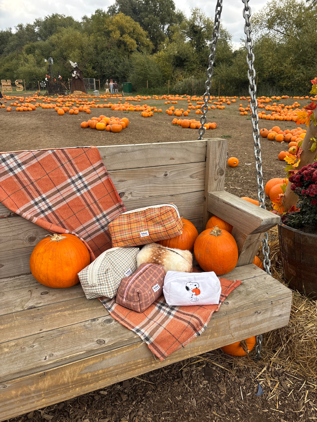 Snoopy fall 🧡 Small